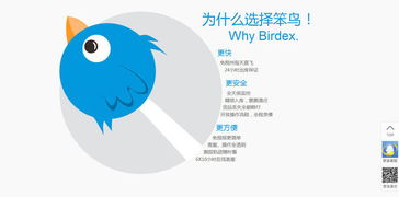 笨鳥海淘 把轉(zhuǎn)運物流打到極致,做海淘供應鏈市場的先飛笨鳥