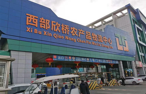 春節前走進西部欣橋農產品物流中心,為你探菜價肉價